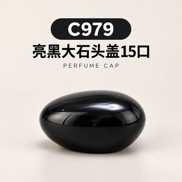 C979 cap view 2