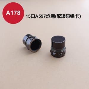 C433 cap view 10