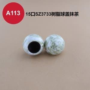 C366 cap view 17