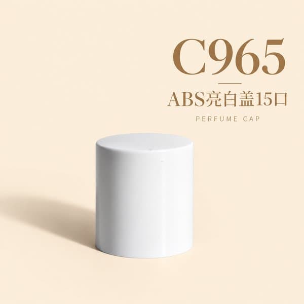 C869 cap view 14