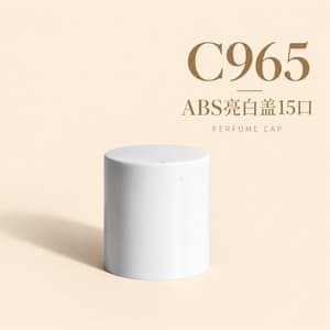 C869 cap view 15