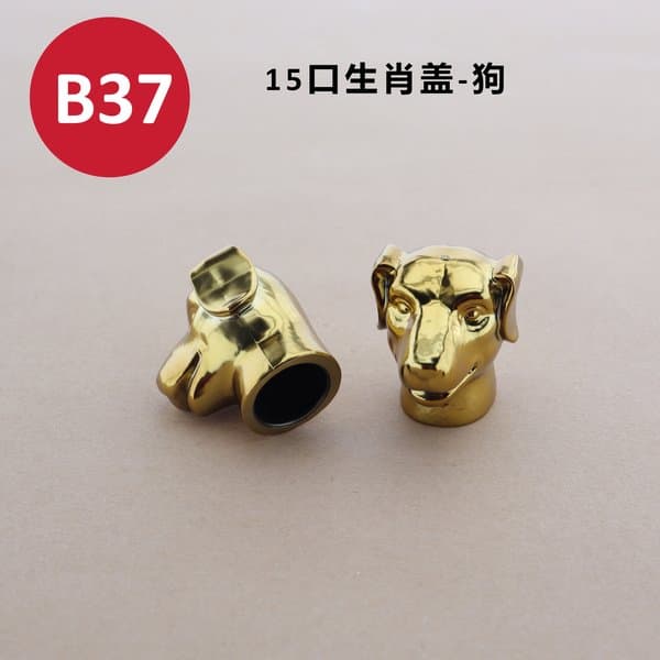 C303 cap view 2