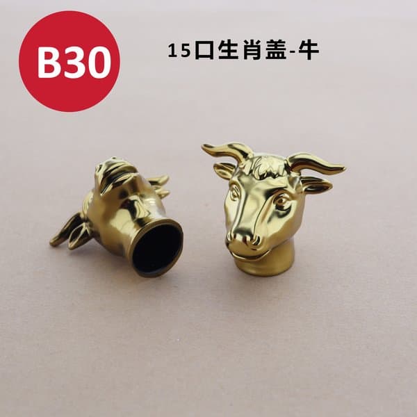 C278 cap view 2