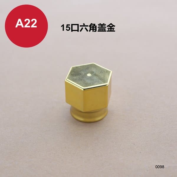 C262 cap view 5