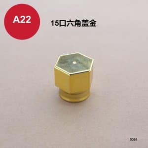 C262 cap view 6