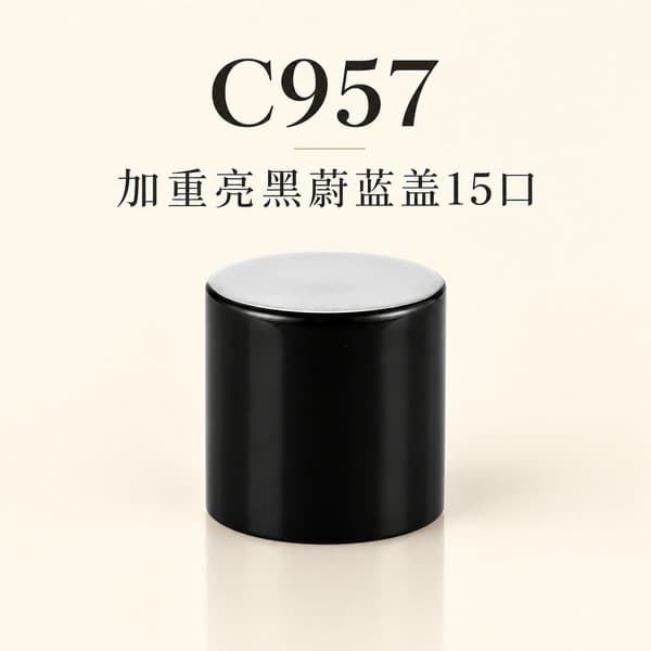 C98 cap view 3