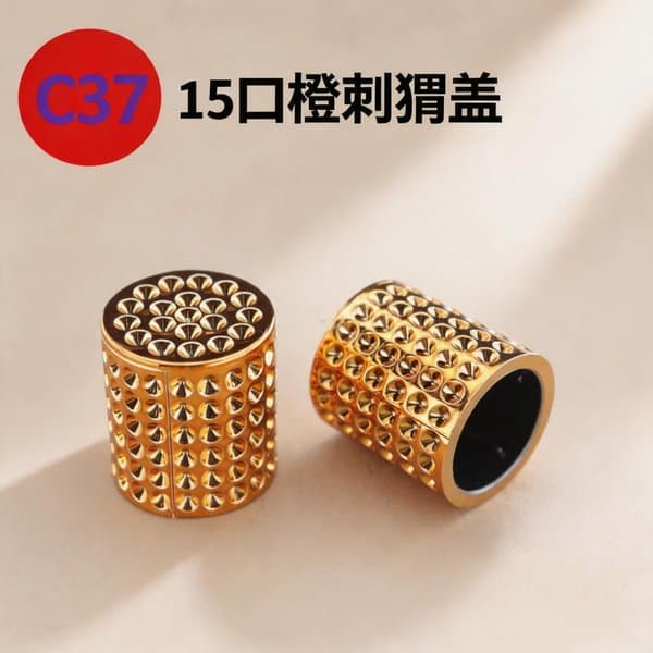 C795 cap view 9