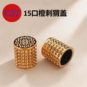 C795 cap view 10