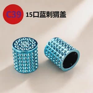 C795 cap view 14