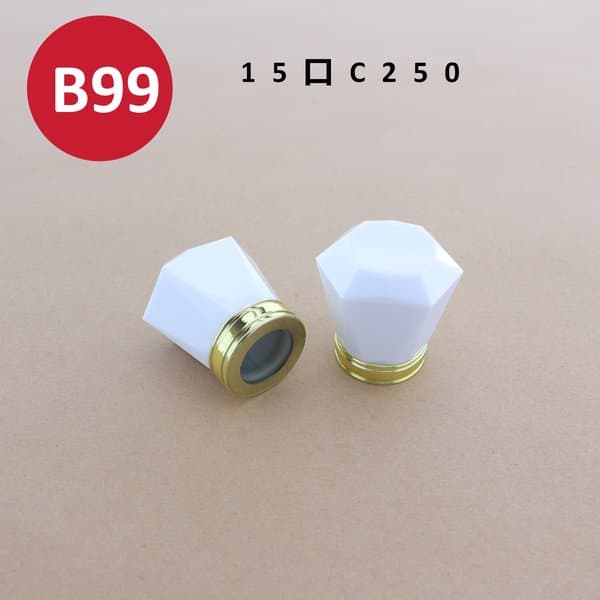 C502 cap view 2
