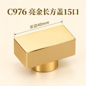 C976 cap view 3