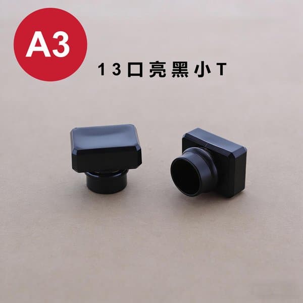 C219 cap view 3